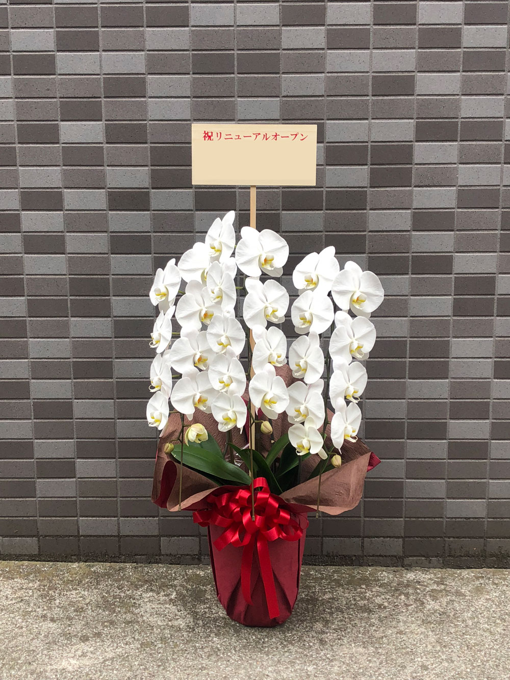 開業祝い・開店祝いにおすすめの花相場とマナー観葉植物・お花の通販 AND PLANTSアンドプランツ