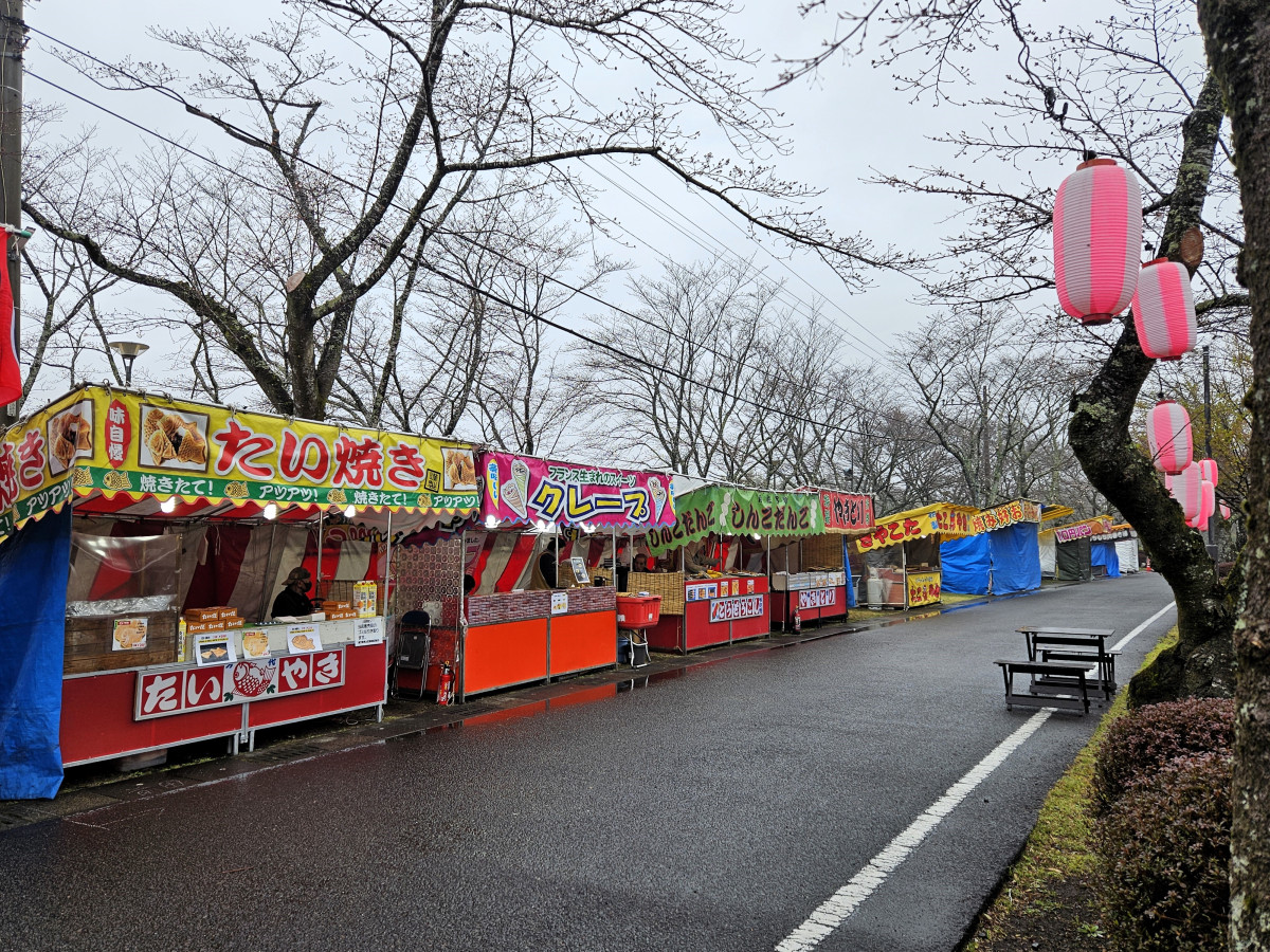 ４ ５ 水 更新 忠元公園の桜 開花状況＠桜シーズン終了伊佐市鹿児島県伊佐市