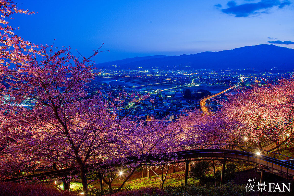湘南ひらつか清遊亭 - 渋田川桜