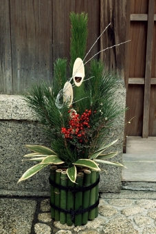 若松、小松、根引松 正月に欠かせない松を種類別に解説します青山花茂BLOG