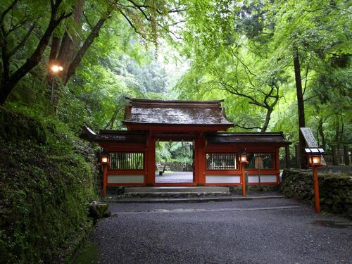 丑の刻参り”はフィクションじゃない！ 京都に実在する“呪術の痕跡”で最もゾッとしたのは『怖いこわい京都』特別エッセイ 4コラム・エッセイ -本の話