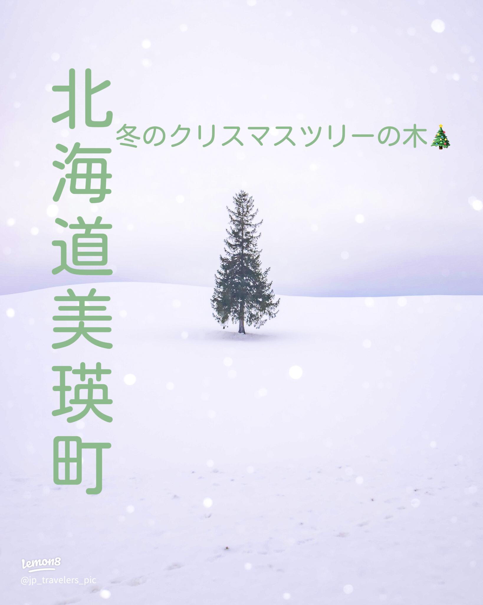 🌲クリスマスツリーの木 北海道美瑛町にある冬の観光スポット✨ 快晴の青空と太陽が重なるときは絶景！ 美瑛町は人気のスポットで、
