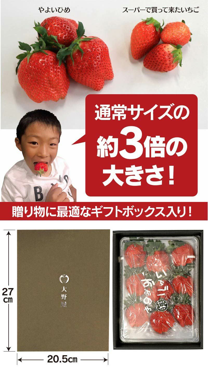 送料無料 さぬきひめ 1ケース 約400gいちご 化粧箱 香川県産 12～18粒前後 秀品 イチゴ 苺 さぬき姫 イチゴ 苺 手土産 贈り物贈答品 ご褒美 ごほうび プレゼント お土産 フルーツ 果物-新鮮野菜とフルーツのお店 旬屋 - プレゼント＆ギフトのギフトモール