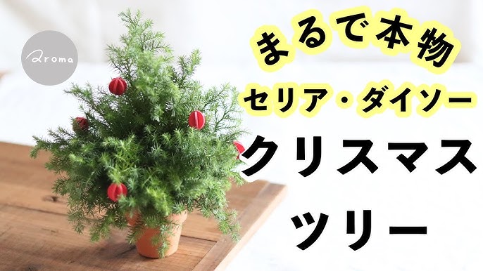 合計約1000円 ダイソーのクリスマスツリー&オーナメントがコスパ良好♪イエモネ