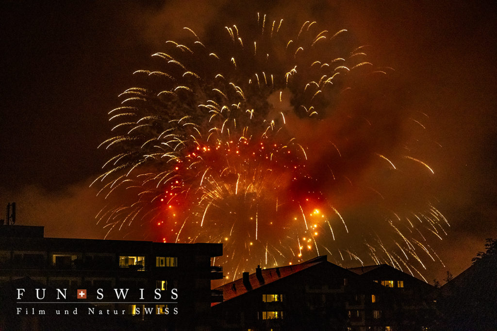 直言 2024年5月20日 ドイツの「憲法記念日」 その1 ――フランクフルト憲法175年とボン基本法75年