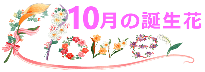 10月の誕生花『ガーベラ』の花言葉、花長持ちの秘訣誕生日プレゼントCafé