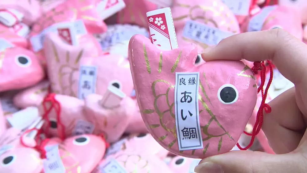 川越氷川神社 埼玉県川越市一年安鯛みくじ 期間限定色 :全国のかわいいおみくじ 神社仏閣専門家・坂原弘康の「おみくじ図鑑」