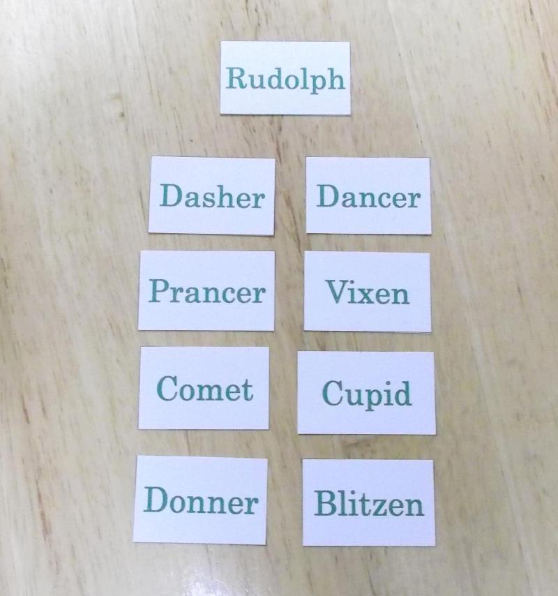 クリスマスは大忙し！サンタクロースの相棒トナカイってどんな動物？anicom you アニコムユー