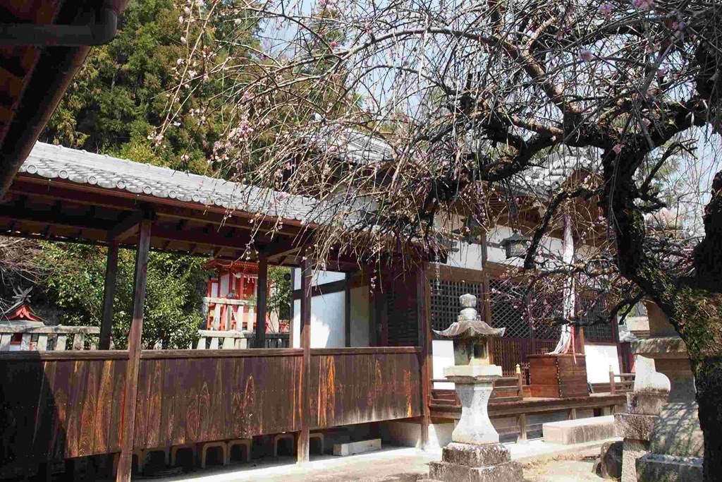 5月7日 新潟市東区山木戸 鎮守さま 三柱 みはしら 神社の春祭です。 午後4時 宮上り 5時 祭典 7時 神楽の奉納 8時 大黒舞 お菓子まき境内に出店もございます。みなさまの参拝をお待ち申し上げております。春祭ぽっぽ焼き神楽