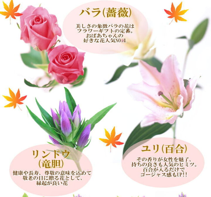 敬老の日に花をプレゼント定番の花束からおすすめフラワーギフトまで人気のお花を一挙紹介MOOD MARK IDEA ムードマークアイデア