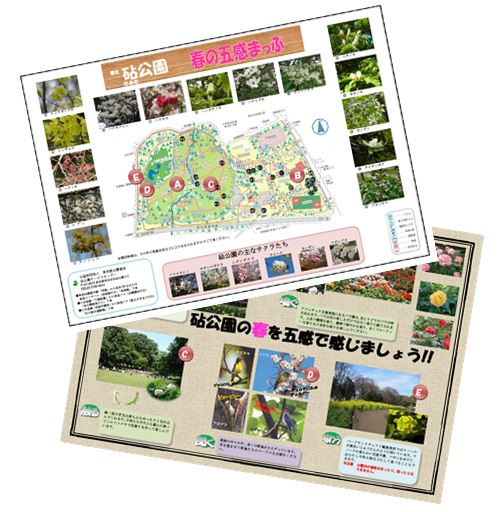 2024女だらけのお花見大会！＠砧公園MINAMINA.KITCHEN sweets lotus