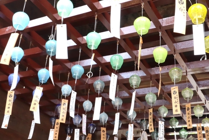 白山神社で七夕風鈴まつり開催中！色とりどりの風鈴が涼を運ぶ 白山神社新潟市中央区 夏のおすすめおでかけスポットまいぷれにいがた編集部のニュースまいぷれ 新潟市