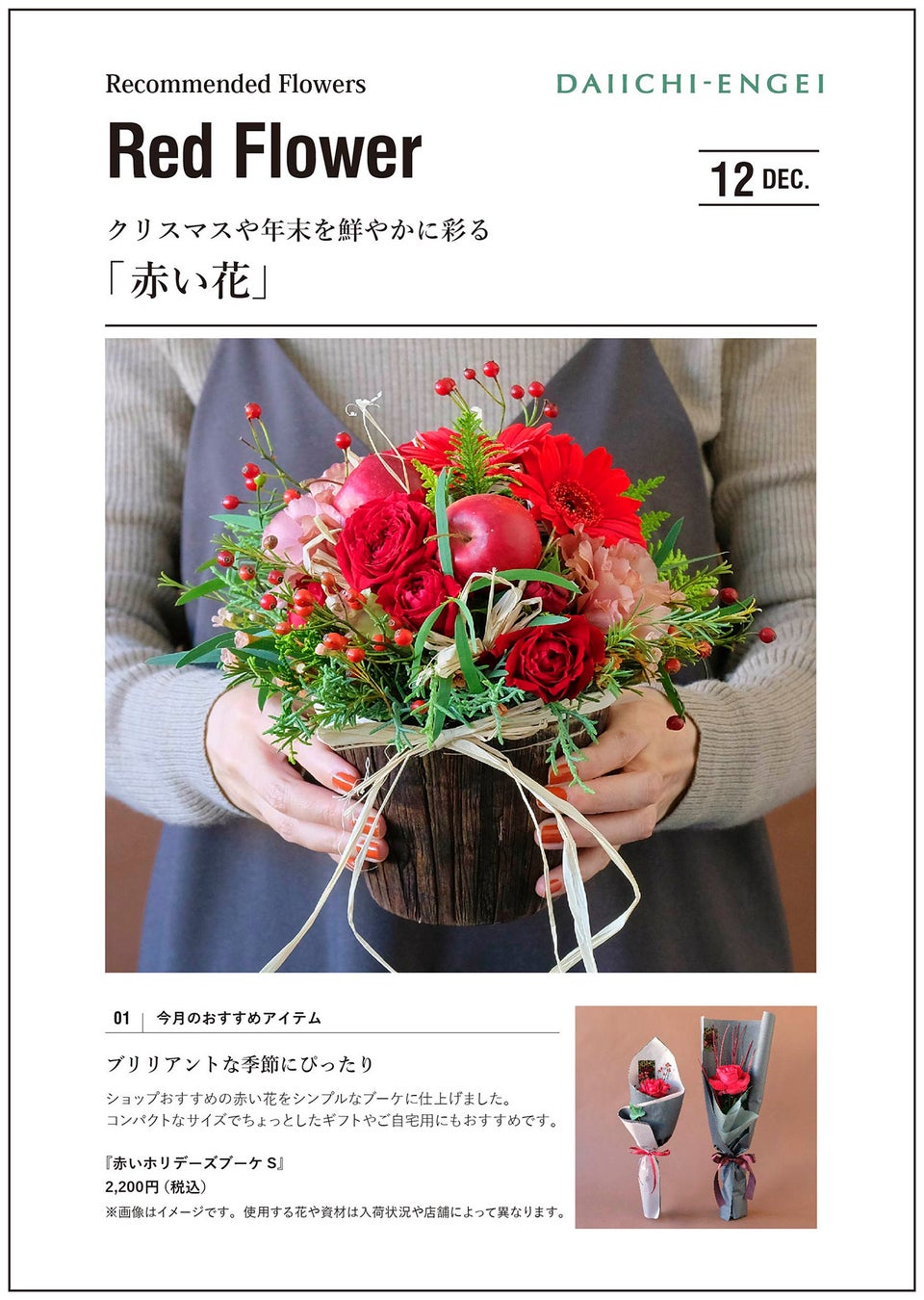 クリスマスの定番ポインセチアとは？美しい赤い葉の育て方 - 花だより