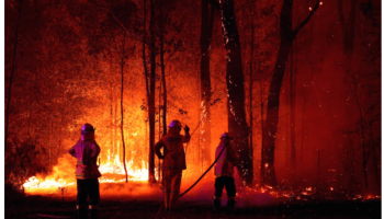 a・鳥・家だより atelier-dayoriそろそろ残暑お見舞い申し上げマス。英語で書くとどうなる