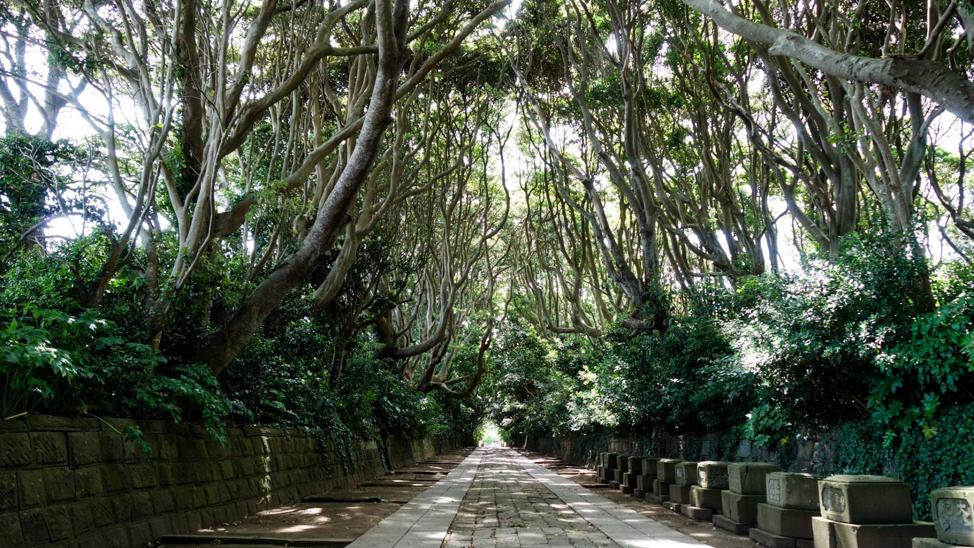 金運と美容・健康のパワーに、お酒と温泉の神様でもある 酒列磯前神社 - ぶらぶら散歩 de 神社めぐり