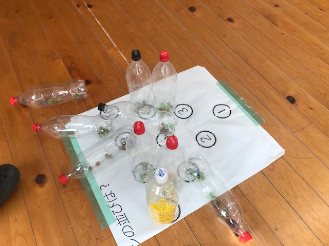 卓上ボーリング ◇手作りレクリエーションの定番レクリス