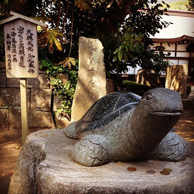酒列磯前神社で宝くじ当選祈願と開運・幸運ツアーで今年は安泰⁉︎四季の旅