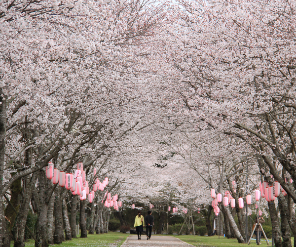 忠元公園鹿児島県伊佐市のおすすめ観光・レジャースポット旅色