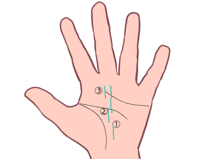 いつ転職しよう 」迷ったら手相をチェック？ 人生の転機を示す五つのサイン 手相で仕事運占い- Woman type ウーマンタイプ女の転職type