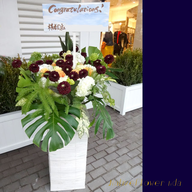 お祝い別のマナーと立札について 観葉植物ギフト通販 販売 新築・開店・開業祝いなどにタマトメ花遊館の観葉倶楽部花・フラワーアレンジメント