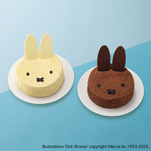 イオンクリスマスケーキ2024！お得な予約方法＆人気商品ガイドCake.jp マガジン