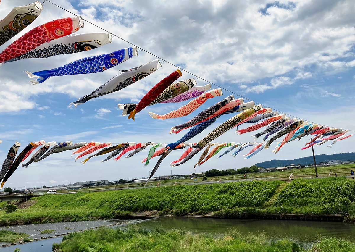 良く泳いでいました🎏こどもの日鈴川鯉のぼりまつりこいのぼり鯉のぼり鈴川岡崎平塚湘南ゴールデンウィーク