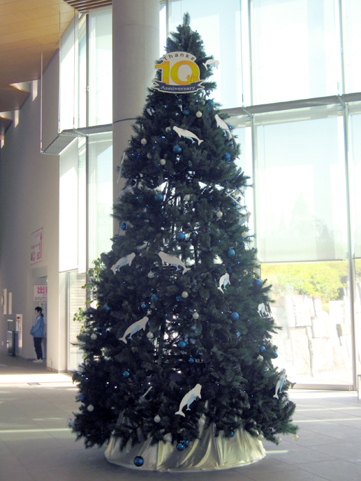 道の駅にクリスマスツリーを設置しました。3ｍ以上ある大型ツリーで人々を魅了します。 - 林広告