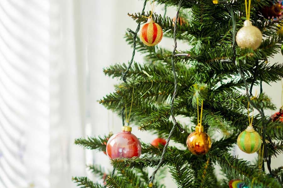 クリスマス、冬の装飾、植物のイラストセット、ベクターのイラスト素材107523049- PIXTA