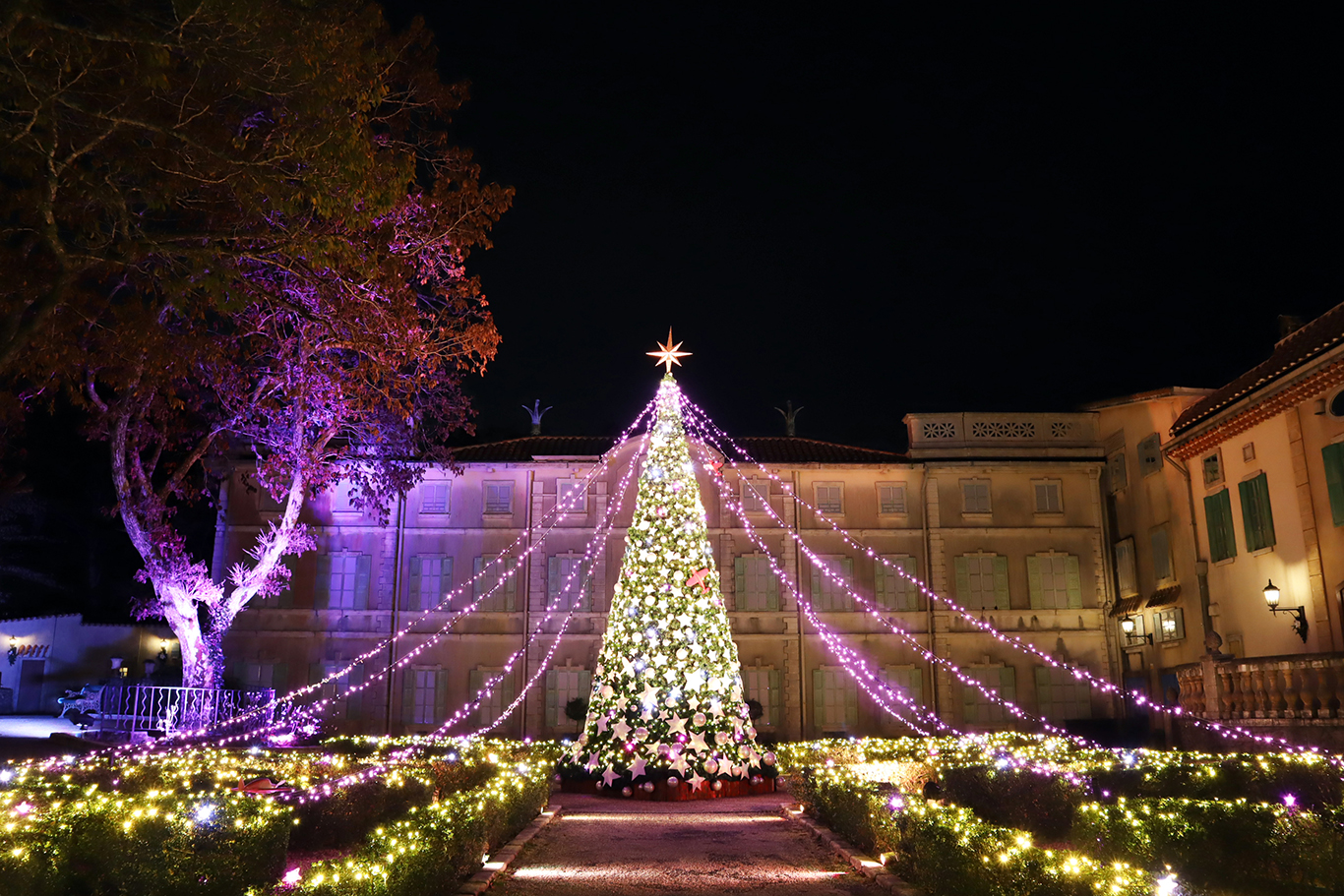 箱根冬のイルミネーション情報大平台温泉 箱根翠泉 公式