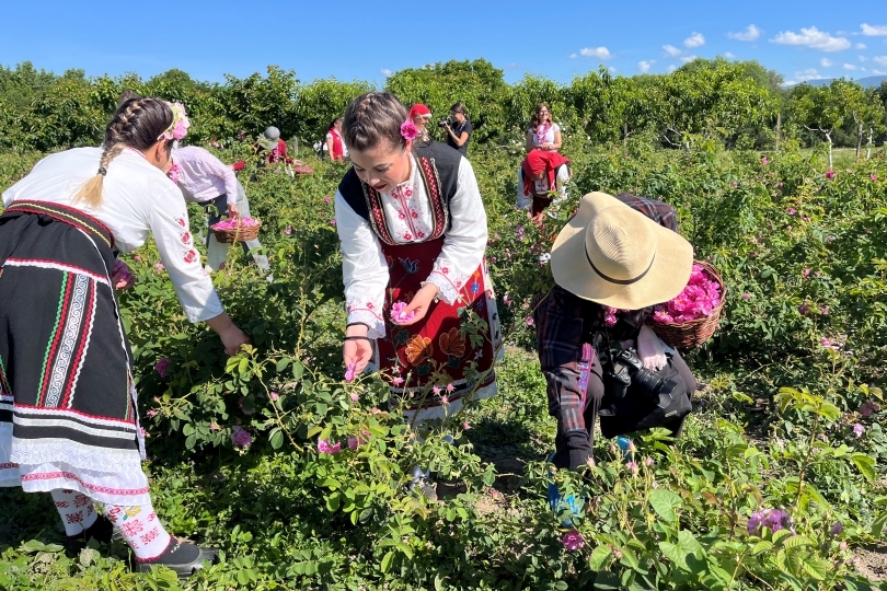 ブルガリアのバラ祭り2019 ブルガリア情報