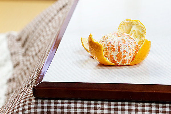 みかんが美味しい季節になりました🍊こたつで食べるみかんは格別🤤 ふたり仲良く食べてお腹いっぱいだね🐻🐶 このあとのんびり過ごしました💭あったかくてそのまま寝てしまいそう💤春になったらこぐまのユーゴ物語みかんの日こたつplushielifeplushie