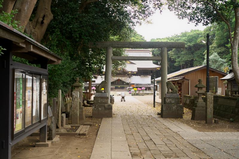 茨城県ひたちなか市鎮座 酒列磯前神社 さかつらいそさきじんじゃ で御座います⛩ ・ ご参拝の皆様が行なっていらっしゃる 金運のご利益を得る参拝方法をご紹介いたします。ご参拝のみなさまが行っている 金運のご利益を得る参拝方法の一例です。 順序が前後した場合