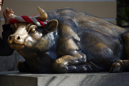 天満宮の撫で牛 菅原道真が丑年生で、遺体を運んだ牛車の止まった場所に太宰府天満宮が建てられたということから、どこの天満宮にも臥牛像がある。 撫で牛 といって、撫でると学問成就のご利益があるらしい。写真１太宰府天満宮の牛。さすが大御所、大勢の人 多分