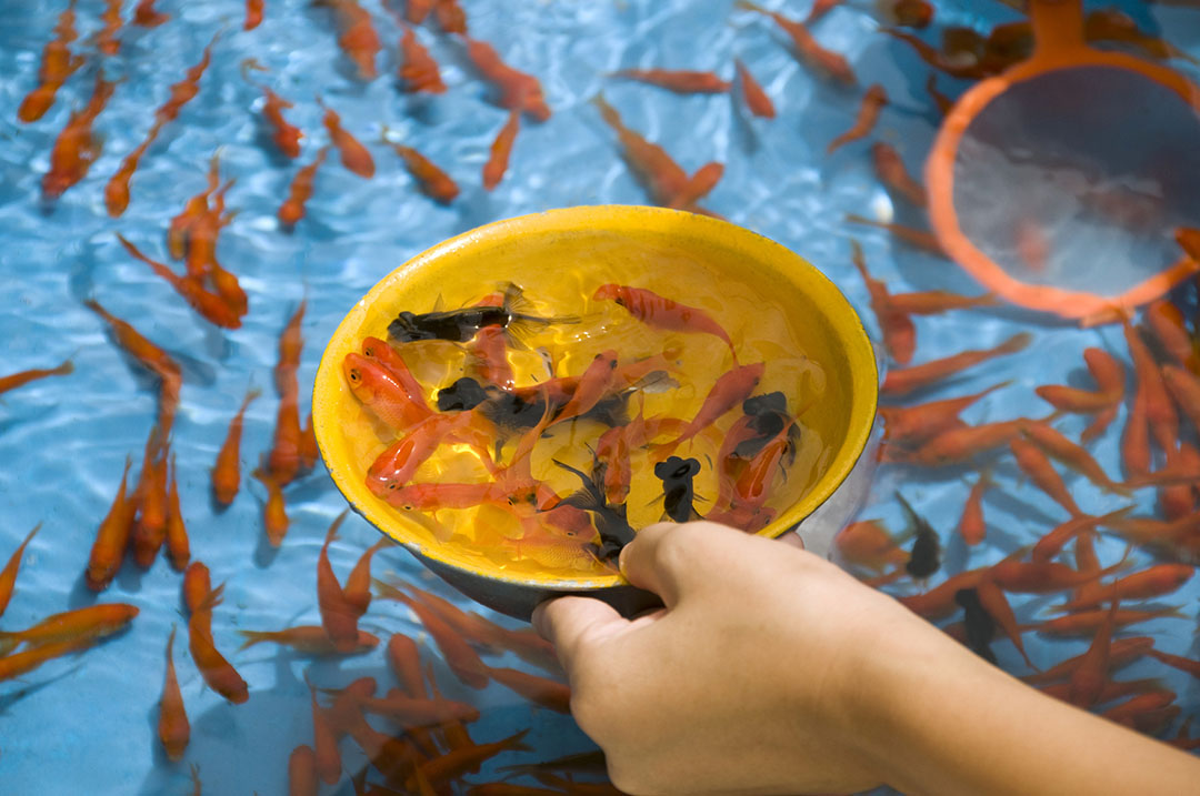 夏祭り屋台の定番を中国語で言ってみよう - 愛言社ブログ