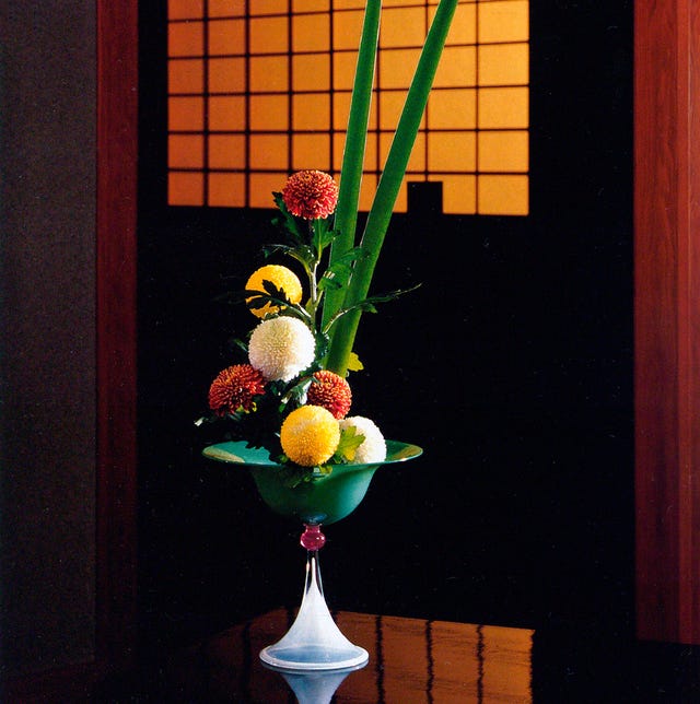 仏花用の輪菊を家庭に飾る 碧南、楽しみ方を提案する展示：中日新聞Web