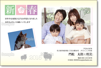 送料無料！！★オリジナル写真年賀状２０２６ 写真タイプ テンプレートＤＶＤ １枚とスタッファー１００部