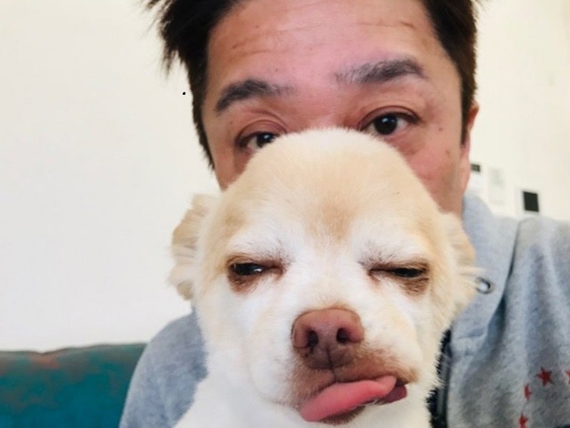 2024年 坂上忍の愛犬サンタの現在は？ブログやYouTubeに登場しない理由ME.NEWS