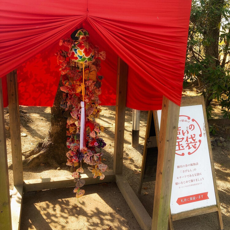 七五三プラン - 福岡・柳川川下り 伯舟観光