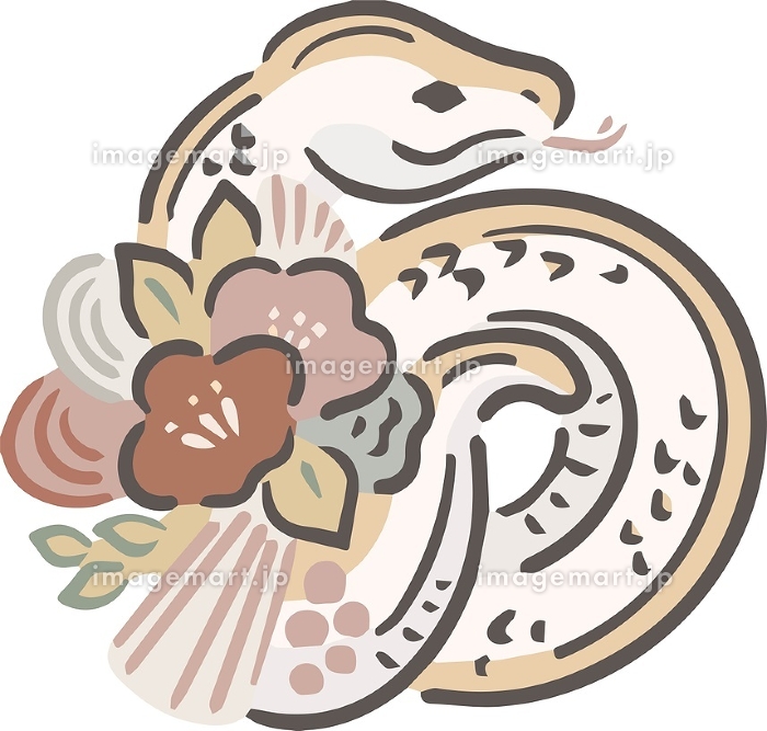 2025年 巳年の蛇 へび・ヘビ のおしゃれな年賀状イラスト_かわいいお正月の年賀素材テンプレート Stock VectorAdobe Stock