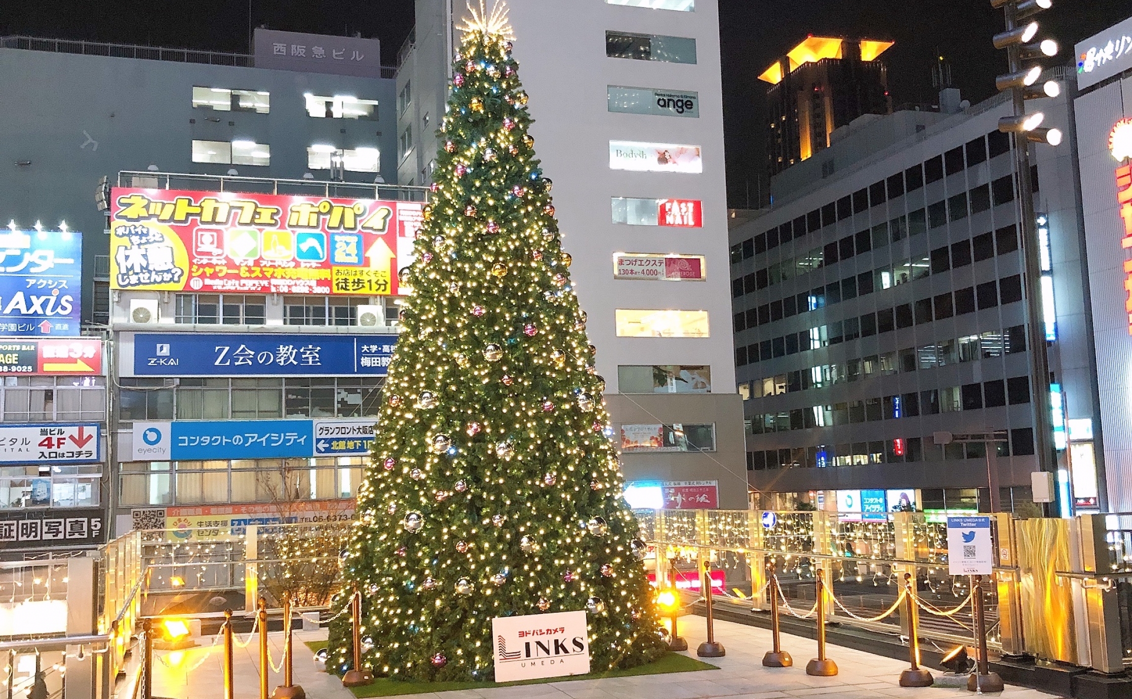 クリスマスの飾りつけで家の外壁を彩ろう！ さくら外壁塗装店 外壁塗装リフォーム工事専門店