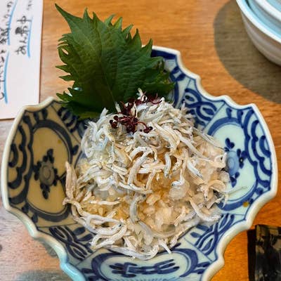 名古屋栄の大人気居酒屋「めしや 浮世ばなれ」の魅力を紹介！TikTok