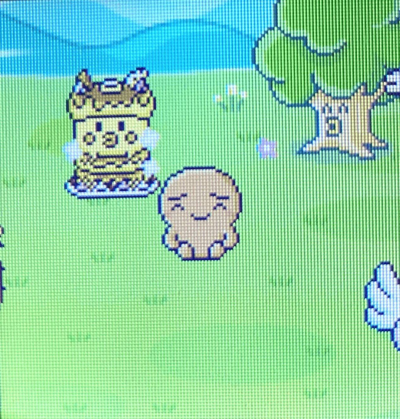 たまパラ エッグハントやり方TikTok