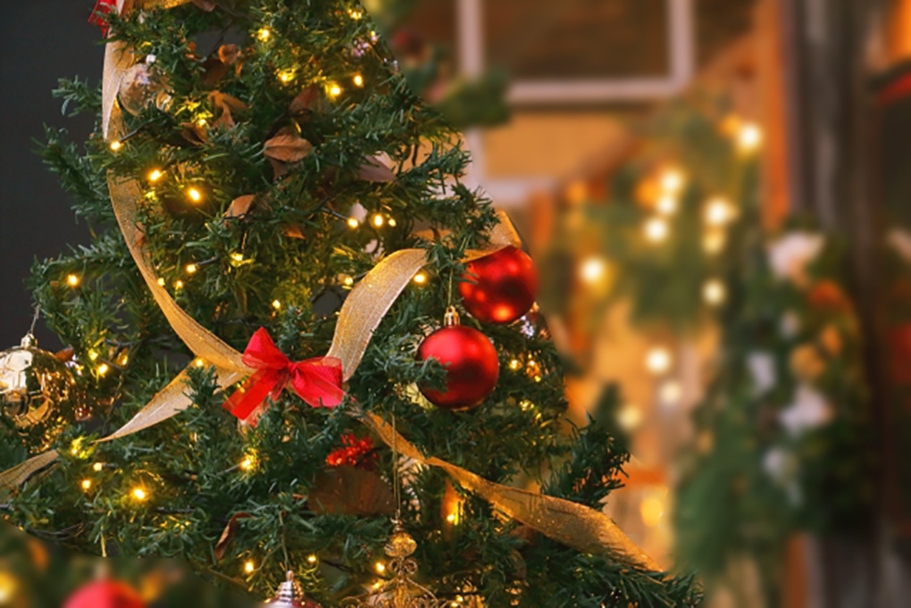 クリスマスツリーはいつまで飾る？海外アメリカでの捨て方・片付け方 - Petite New York