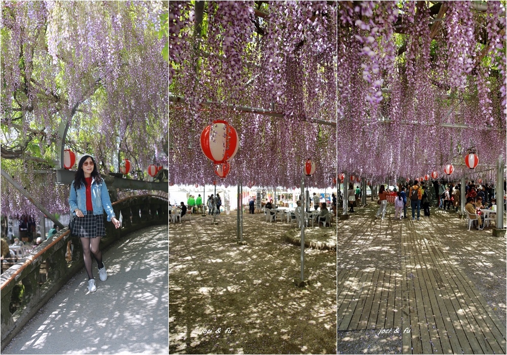 こんにちは☀️ 中山の大藤を見に行きませんか？🌼🌸🌼🌸 4年ぶりに、柳川春の花イベント「中山大藤まつり」を開催しております❣️満開の時期には会場か藤の香りで包まれます💁‍♀️🌸 大藤の見頃は、4月21日 金 頃だそうです！ 会場は屋台も出て楽しい雰囲気です