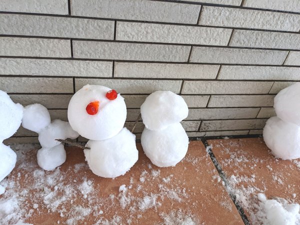 冬といえば何？食べ物・行事・自然など冬で連想する風物詩を紹介 - CANVAS若手社会人の『悩み』と『疑問』に答えるポータルサイト