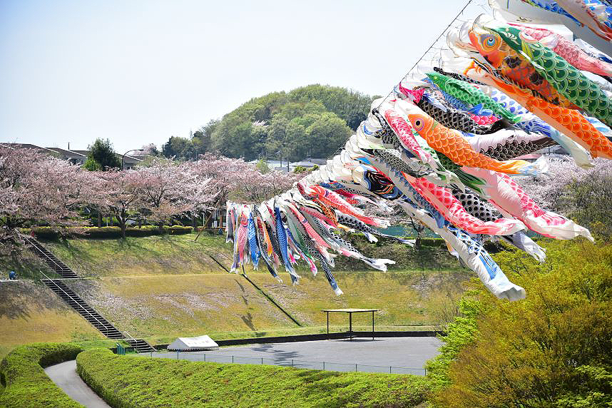 神奈川 泳げ鯉のぼり相模川旅といいもの