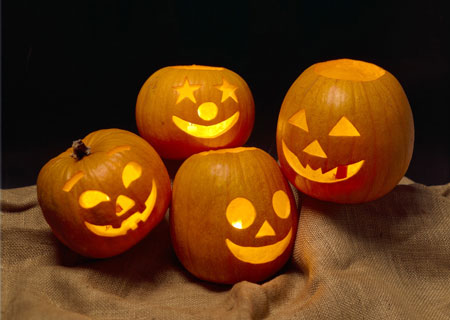 ハロウィンにかぼちゃを飾るのはなぜ？由来を知っておしゃれに飾ろう！ – 土と風の植物園