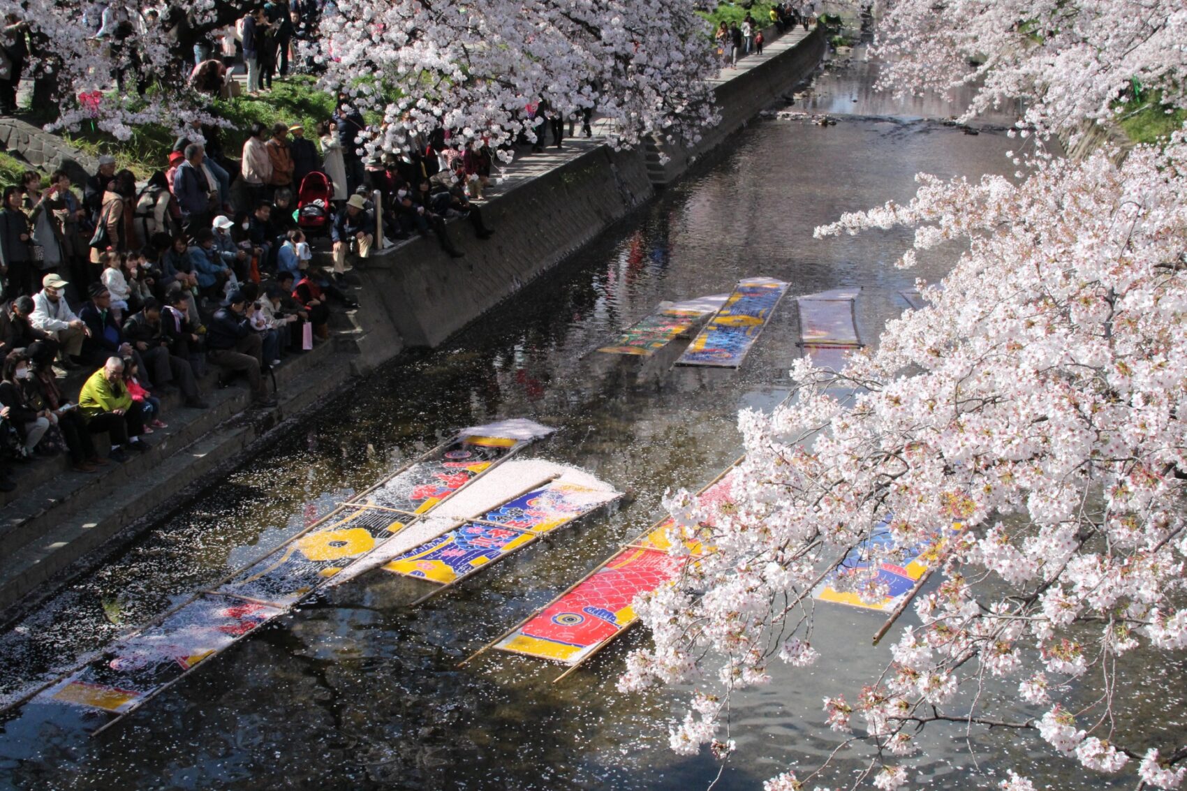 東海市大池公園桜まつりとうかいグルメフェス夜桜のライトアップ屋台お花見