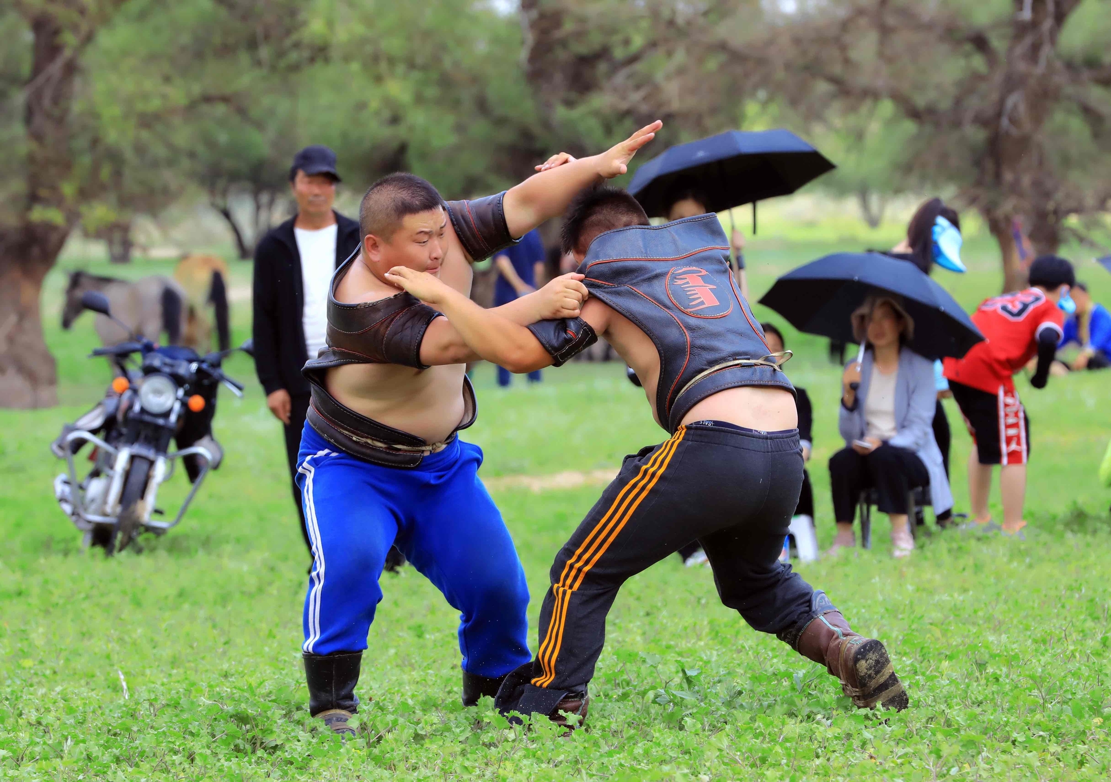 モンゴル ナーダム祭り・大草原乗馬の旅7日間ヒマラヤ観光開発株式会社
