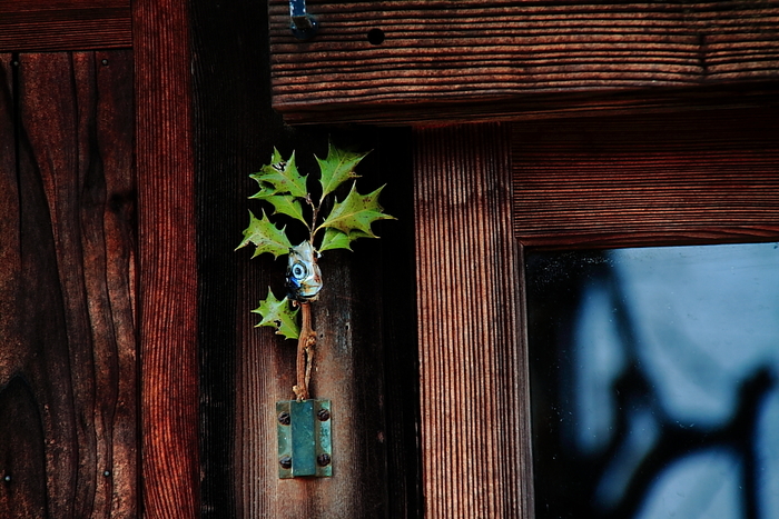 節分の飾り」とは？ 柊鰯の意味、手作り作品・いつから飾るのかも解説Oggi.jp